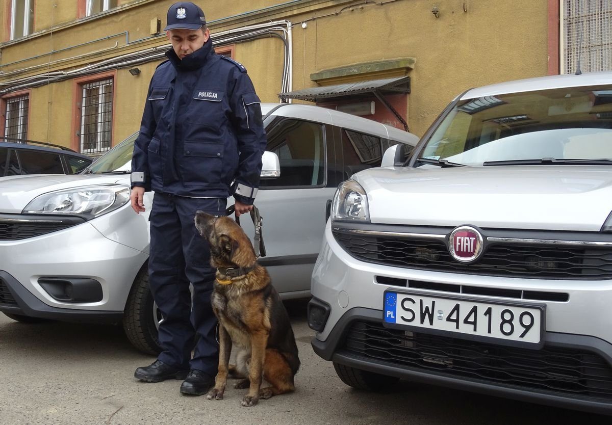 Psy w bielskiej policji